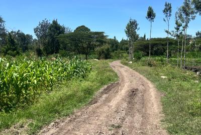 Land at Kandisi - 3