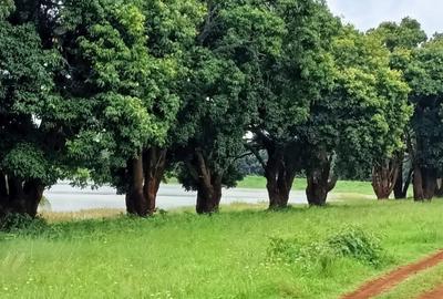 Residential Land in Juja