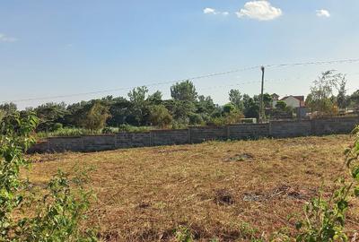 0.5 ac Land in Tatu City