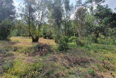 5 ac Residential Land in Karen