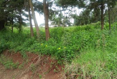 0.25 ac Residential Land at St. Julian Ack Center