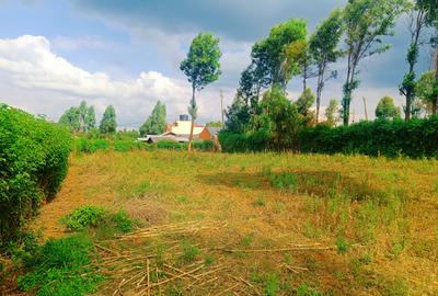 1,000 m² Residential Land at Karie