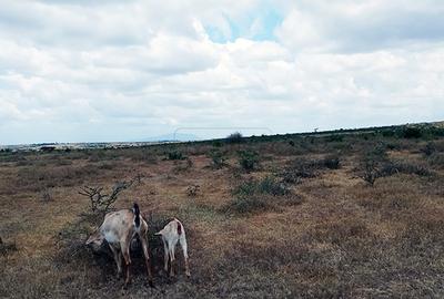 5 ac Residential Land in Athi River - 4