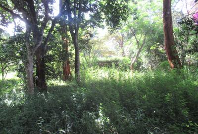 Residential Land at Mwitu Estate