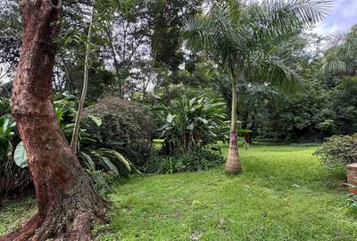 0.75 ac Land at Kaputei Gardens - 2