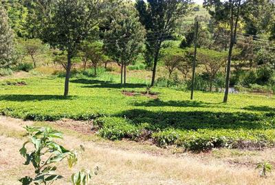 2 ac Land at Redhill-Kentmere Rd - 2