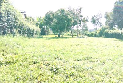 Commercial Land in Kinoo - 2