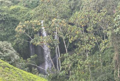 0.5 ac Residential Land at Limuru Girls