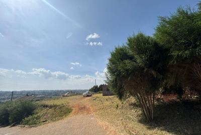 0.5 ac Residential Land in Rironi - 3