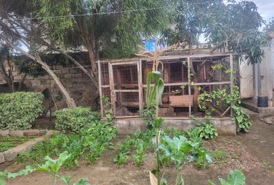 3 Bed House in Juja