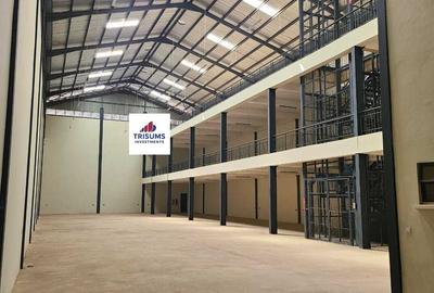 15,000 ft² Warehouse with Fibre Internet at Cabanas
