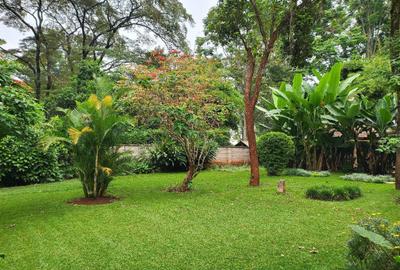 5 Bed House with En Suite in Rosslyn - 4