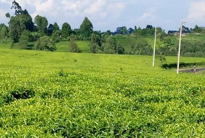 67 ac Land at Ndumberi-Ngorongo Road - 2