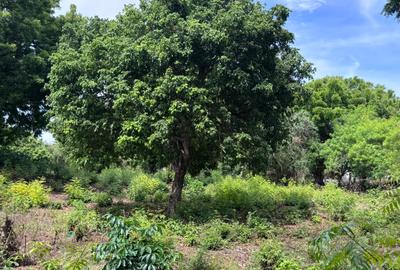 8,093.72 m² Land at Diani 3Rd Row Beach - 3