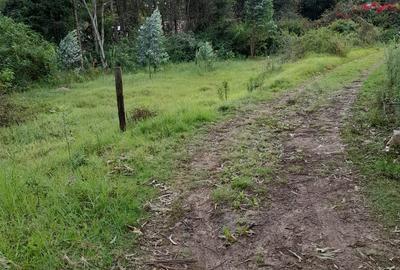 0.5 ac Residential Land in Karen