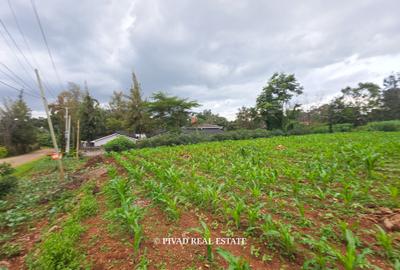 0.5 ac Land in Ridgeways - 4