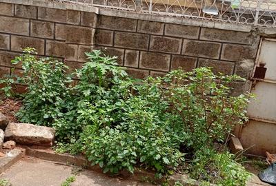 4 Bed House with En Suite in Langata - 3