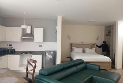 Furnished Studio Apartment with Swimming Pool at Muthangari Road Westlands Nairobi - 3