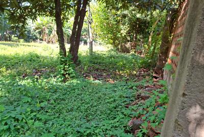 Residential Land at Runda