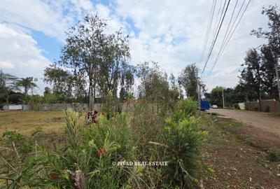 0.5 ac Land in Thome - 4