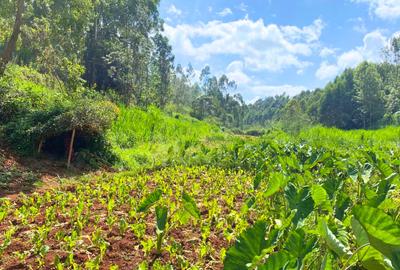 1 ac Residential Land at Muchatha - 4