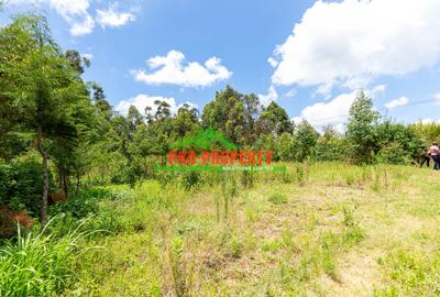 0.05 ha Land at Ondiri - 4