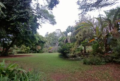 0.5 ac Land in Westlands Area - 2