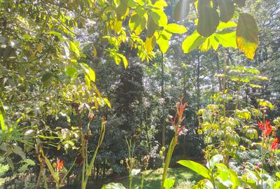 Residential Land at Kyuna - 2