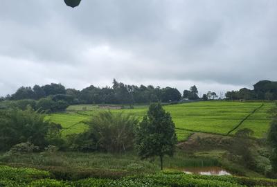 10 ac Land at Tigoni - 3