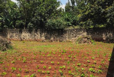 0.25 ac Land at Nyati Drive - 4