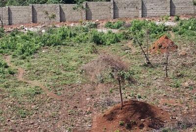 Residential Land at Riat - 4