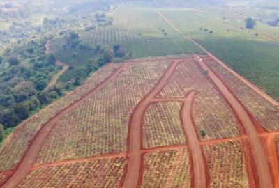 500 m² Land at Zuri Springs Estate - 2