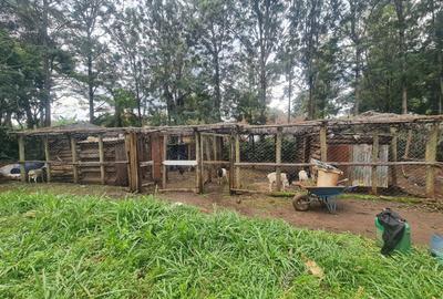 Commercial Property with Garden at Bomas - 2