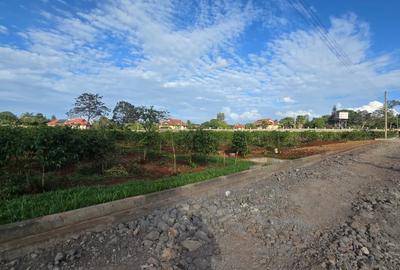 0.5 ac Land in Runda