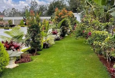 7 Bed Townhouse with En Suite in Karen - 2