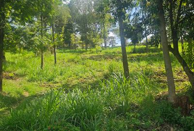 Land in Westlands Area - 3