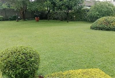 5 Bed House with En Suite at Runda Evergreen - 3