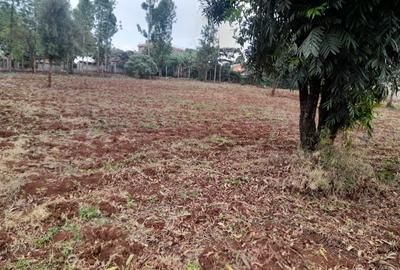 Land at Muthiga - 4