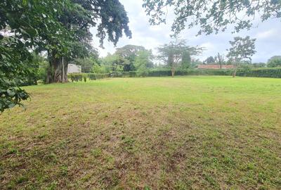 Warehouse at Hardy Area - 4