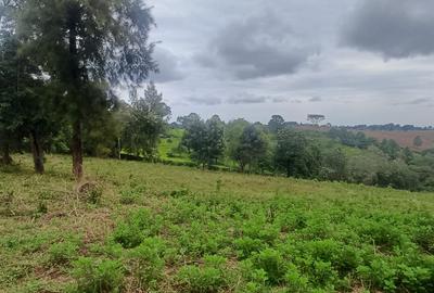 6 ac Land in Tigoni - 2