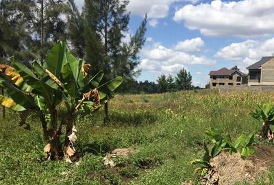 2,400 ft² Residential Land at Kenol Kenol Kabati Highway