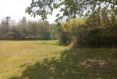 26 ac Land in Karen - 3