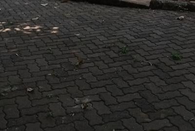 8 Bed Townhouse with Garden in Westlands Area - 4