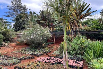 1 ac Land in Nyari - 2