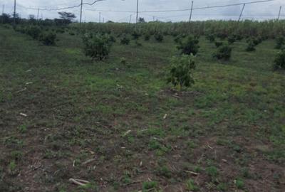 736,554 m² Land in Narok