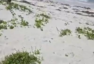 Land in Diani