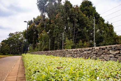 1 ac Residential Land at Karen