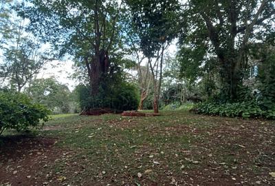 Residential Land in Kyuna - 2