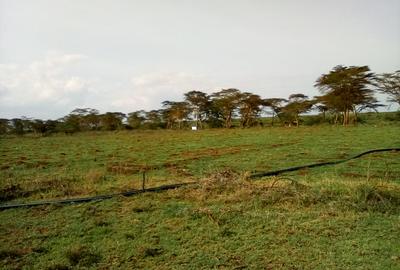 Land at Nanyuki-Rumuruti Rd