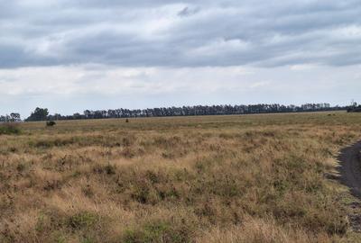 700 ac Land at Bisil - 3